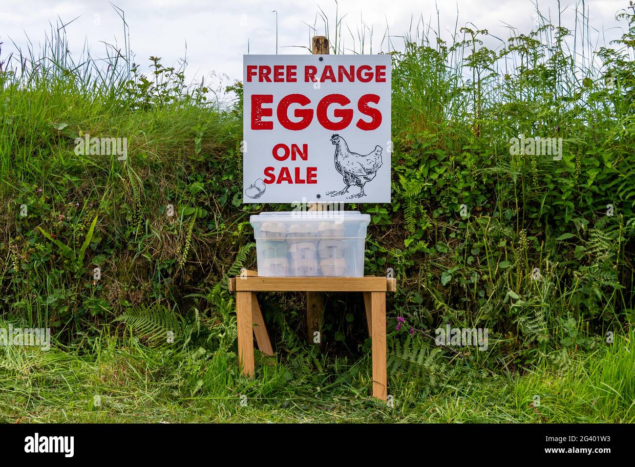 Free Range Eggs sale with honesty box Stock Photo