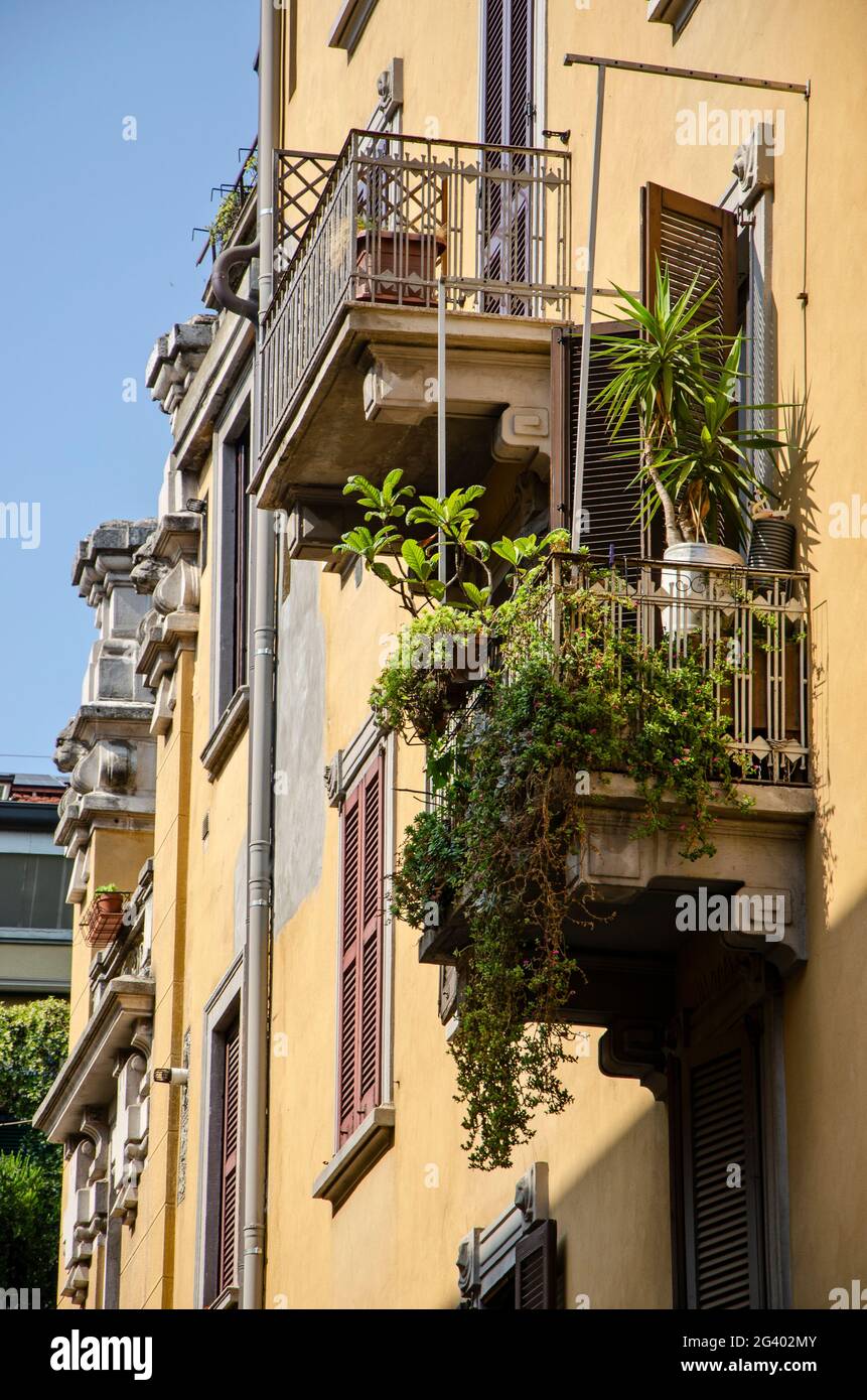Detail of a balcony full of plants and an old Milan style building. Via Paolo Sarpi. Chinatown. Italy Stock Photo