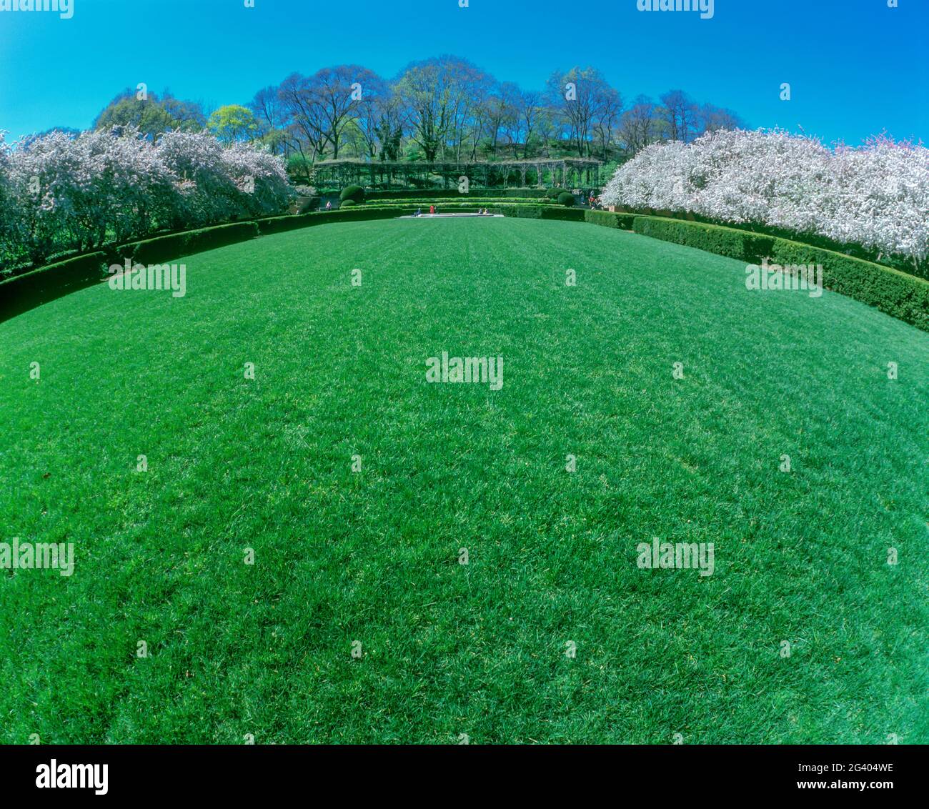 Perfect mowed lawn hi-res stock photography and images - Alamy