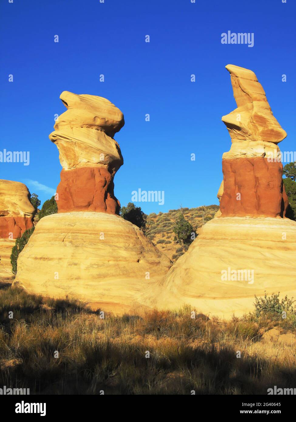 Two strangely shaped Sandstone hoodoos, against the clear blue late afternoon sky in the Devils Garden, Escalante, Utah, USA Stock Photo