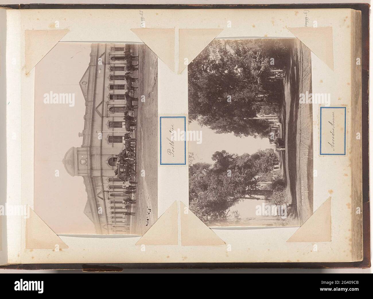 Arcadia Avenue in Pretoria; Arcadia Avenue. Part of album with 191