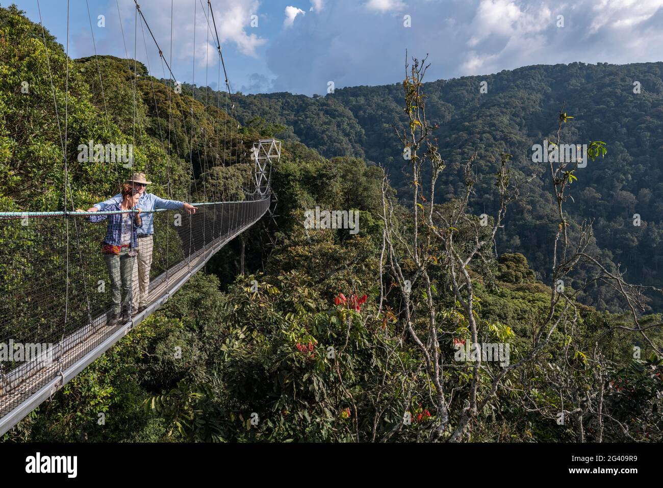 Couple admires view from suspension bridge of Canopy Walkway, Nyungwe