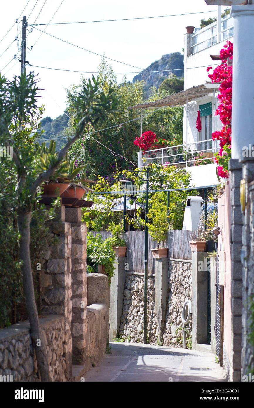 Small street with bougainville on the way to Arco Naturale in Capri, Italy Stock Photo