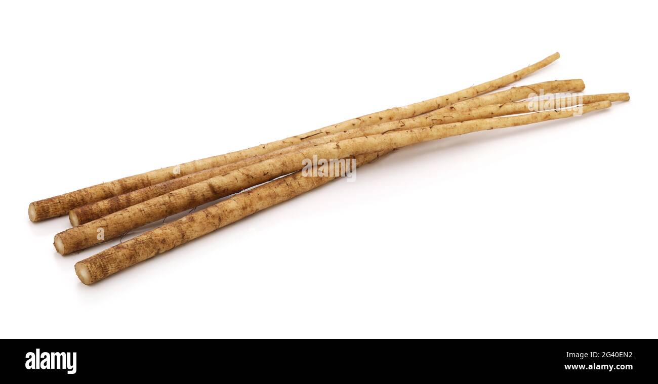 Japanese edible greater burdock root, dietary fiber food Stock Photo