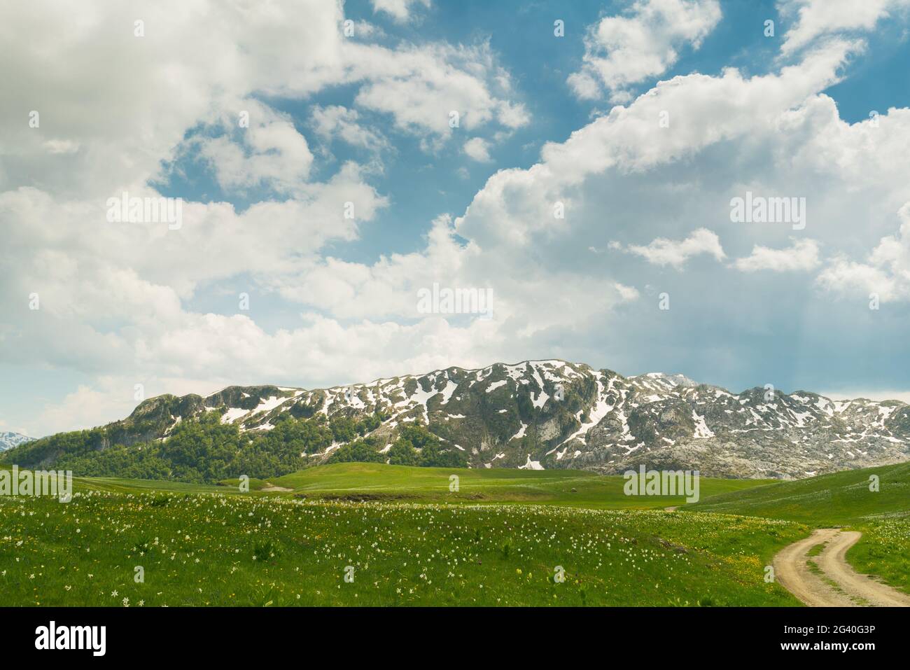 green meadow in Lukavica Plateau in the spring, Montenegro Stock Photo
