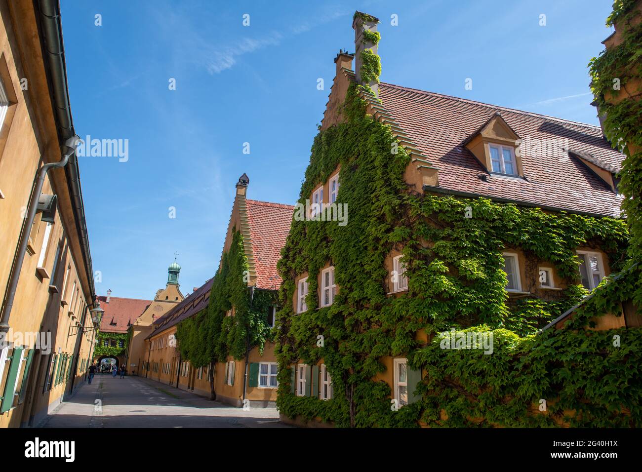 Augsburg, Germany. 18th June, 2021. Wild grapevine grows on the houses