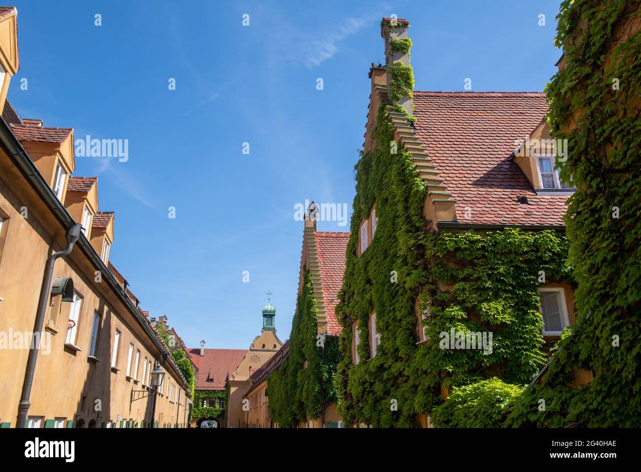 Augsburg, Germany. 18th June, 2021. Wild grapevine grows on the houses
