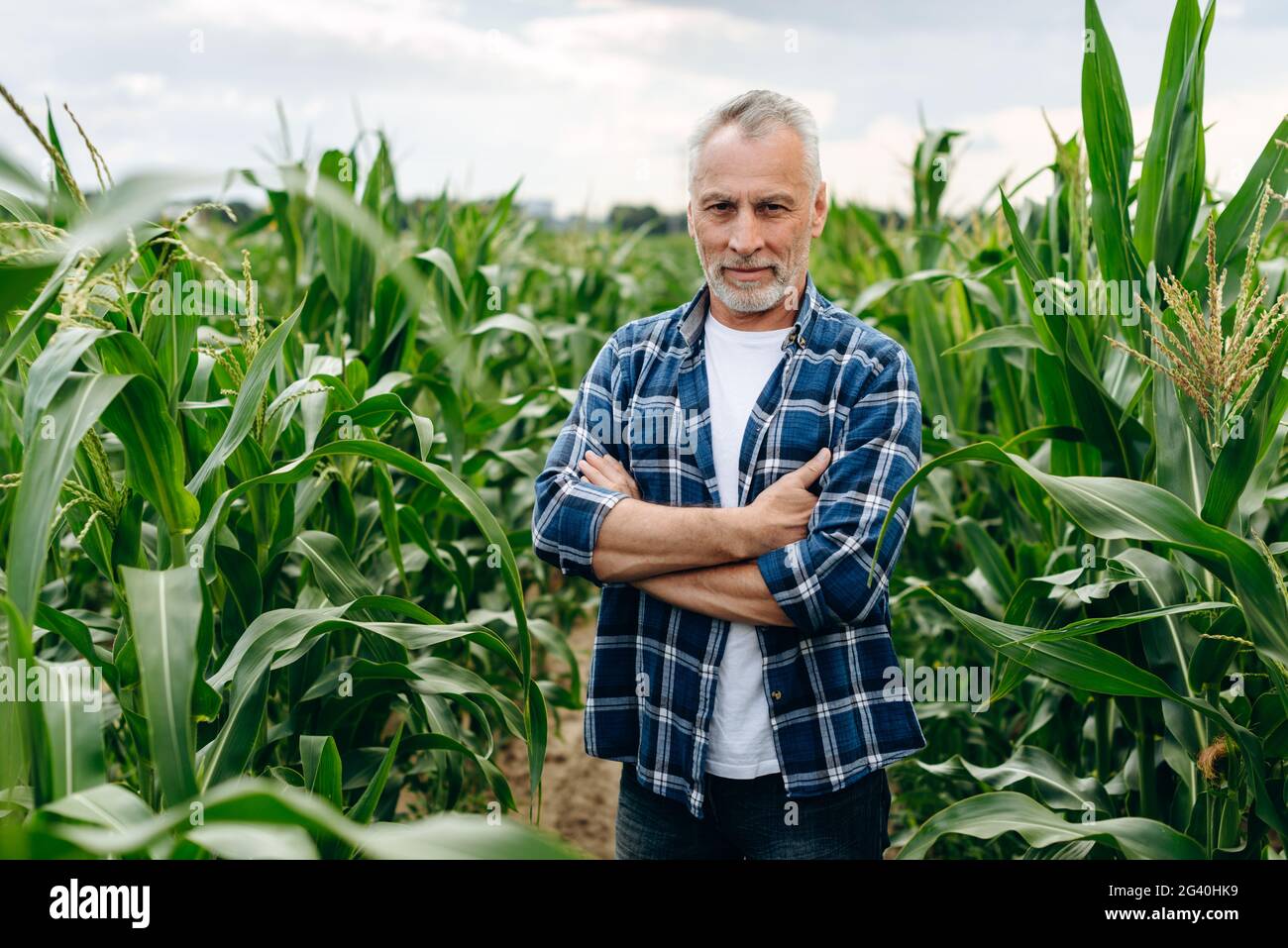 Close-up view of a man in a checkered shirt. 