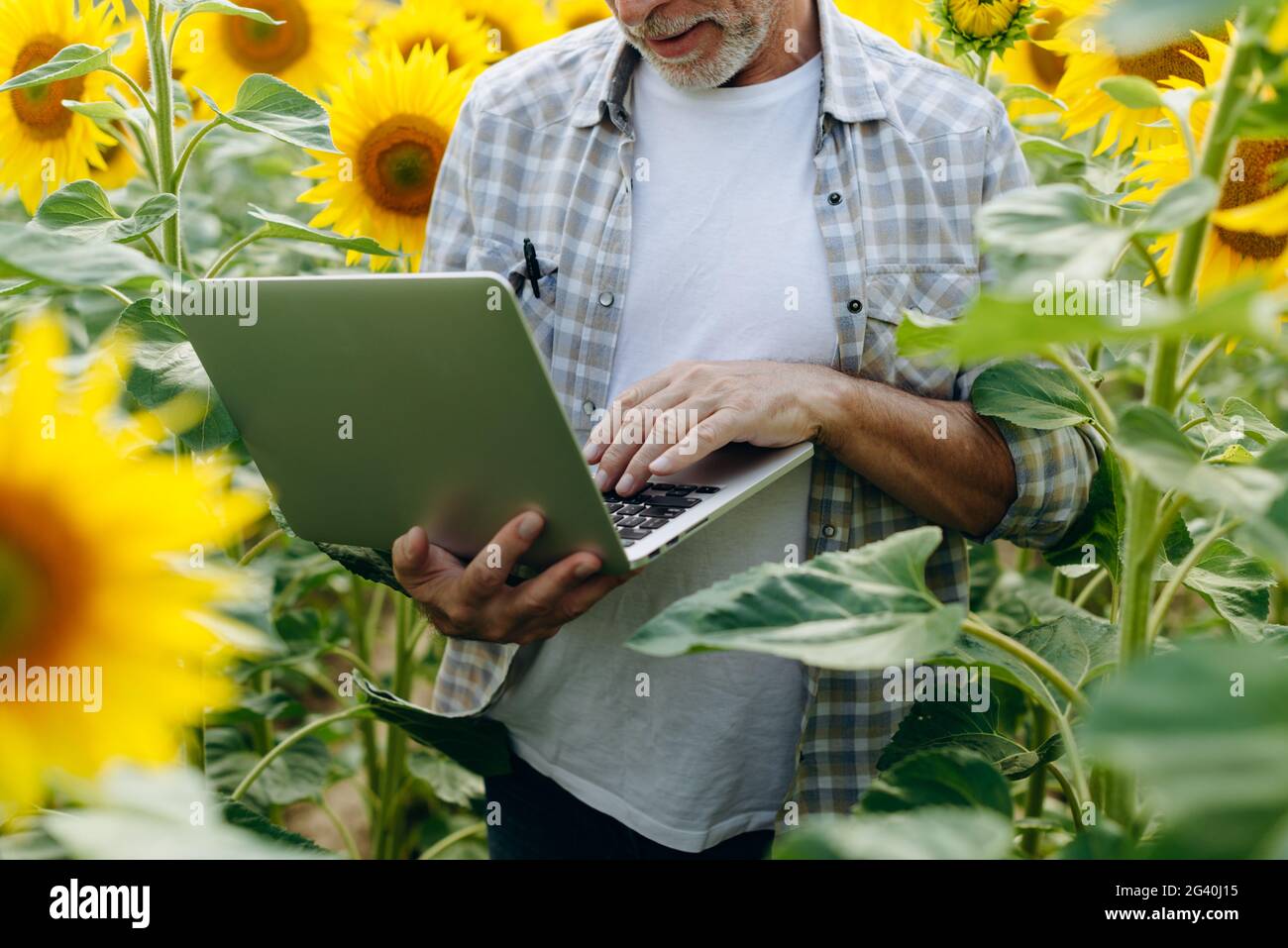 The concept of modern technologies in agribusiness. An agronomist works ...