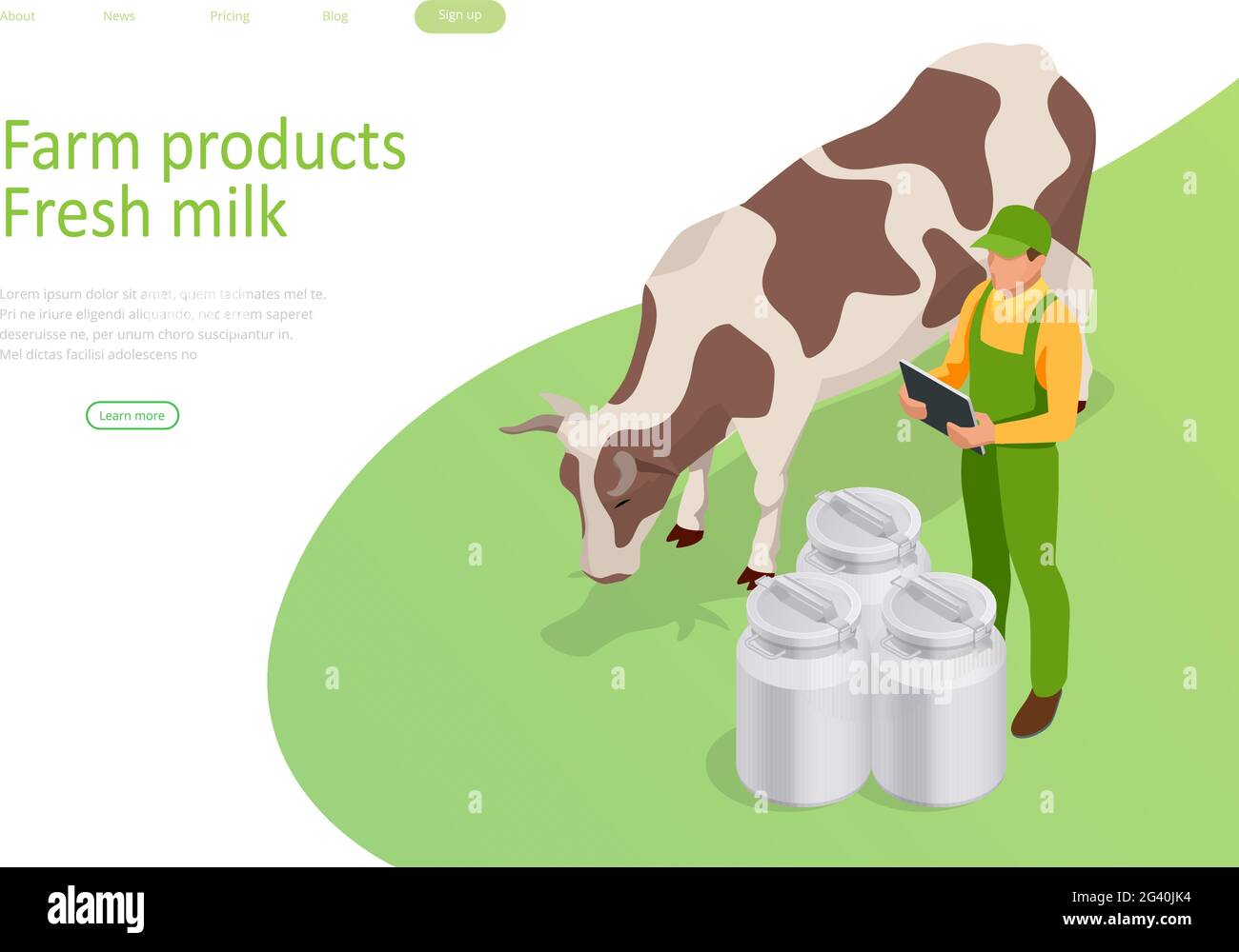 Isometric Farmer is Working on the Organic Farm with Dairy Cows. Milk