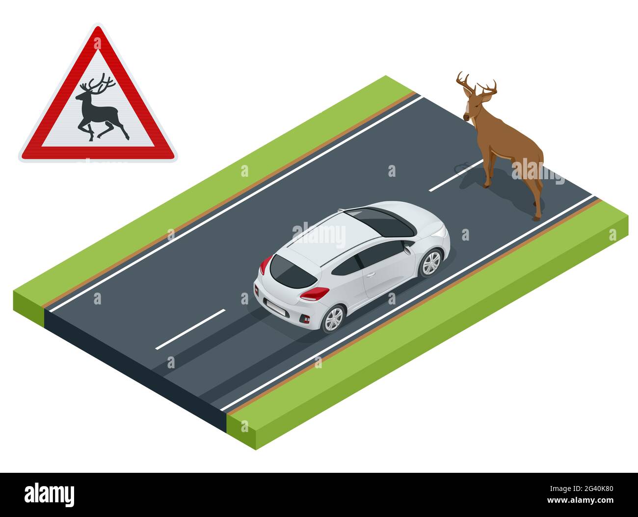 Isometric deer crosses the road in front of the car, danger of