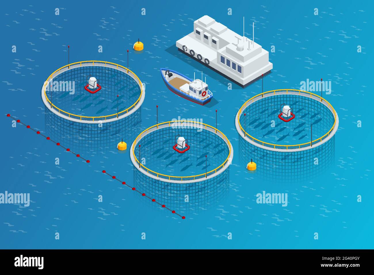 Isometric Fish industry seafood concept. Commercial fishing. Sea