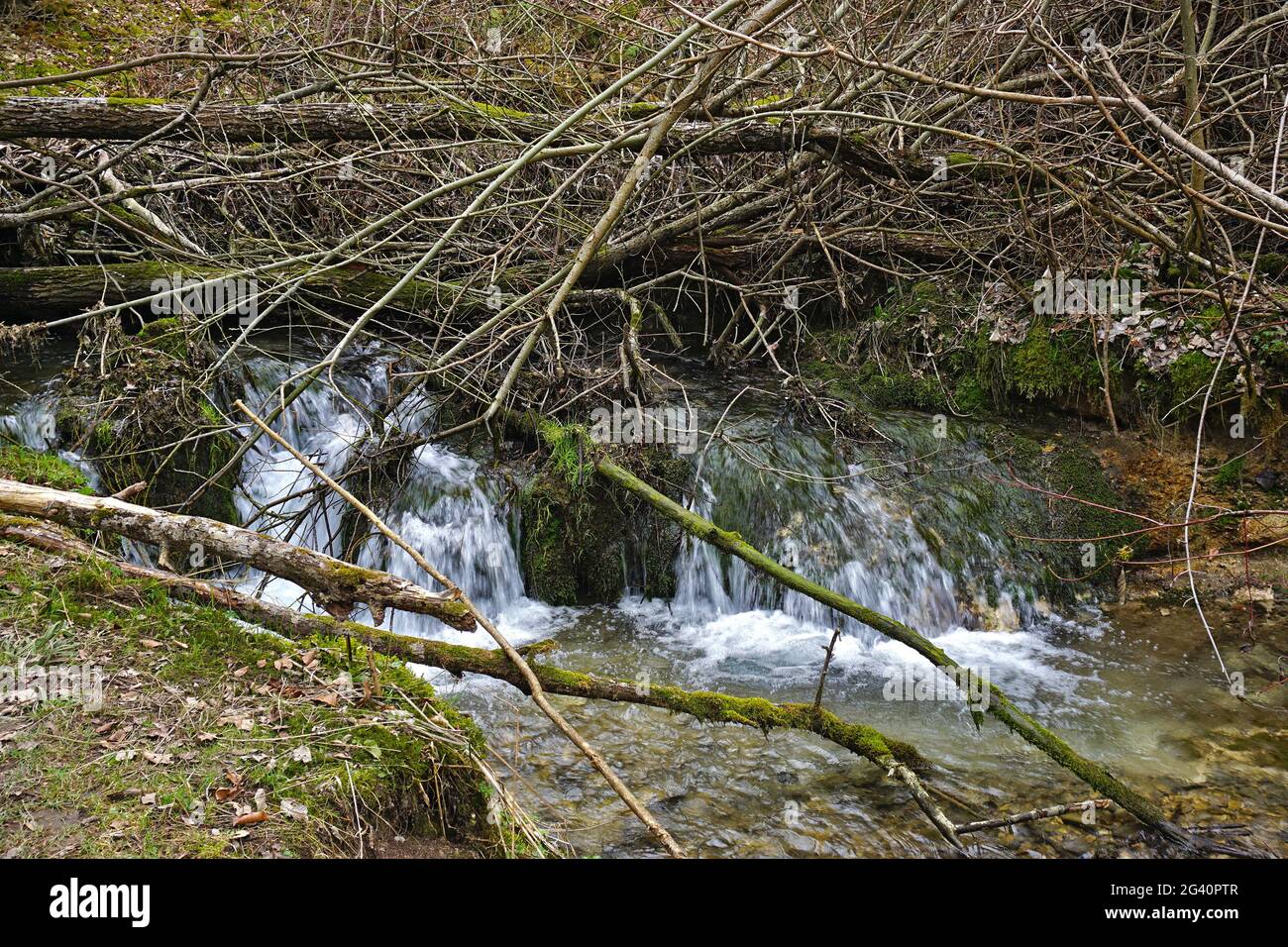 Wiesaz stream blocked with wood clutter Stock Photo