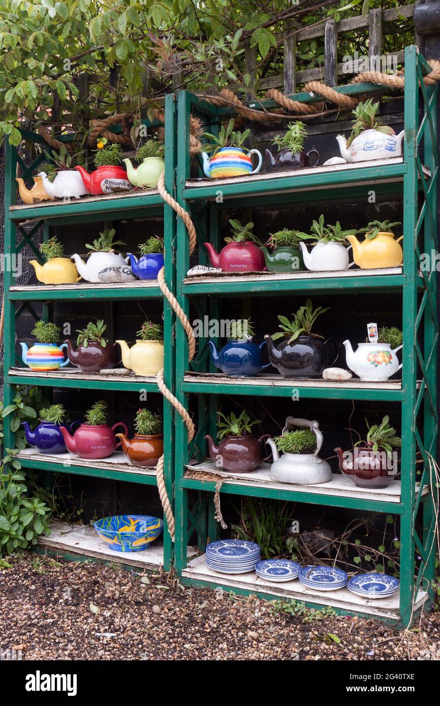 A collection of teapots with plants in them at Thorpeness Stock Photo