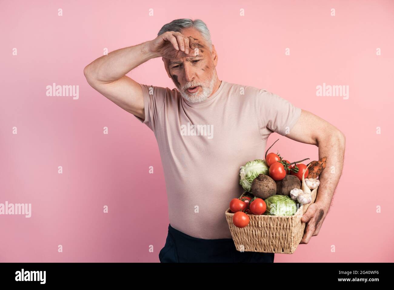 Tired senior man holding a basket with vegetables on a pink background. A man with a stray face after hard work., Tired senior man holding a basket wi Stock Photo