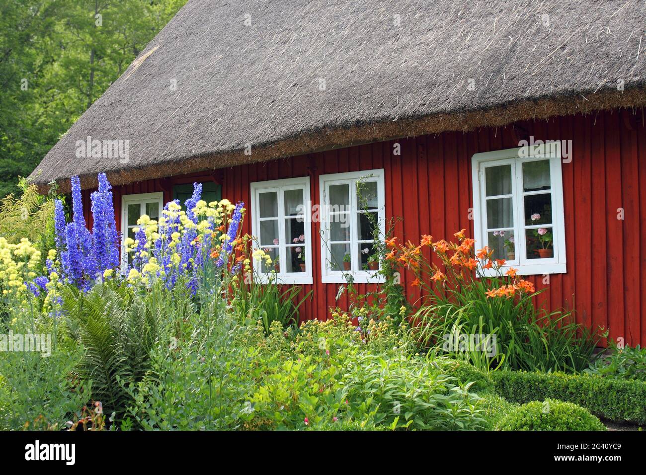 A pretty Swedish thatched red cottage and lush garden with flowers. Stock Photo