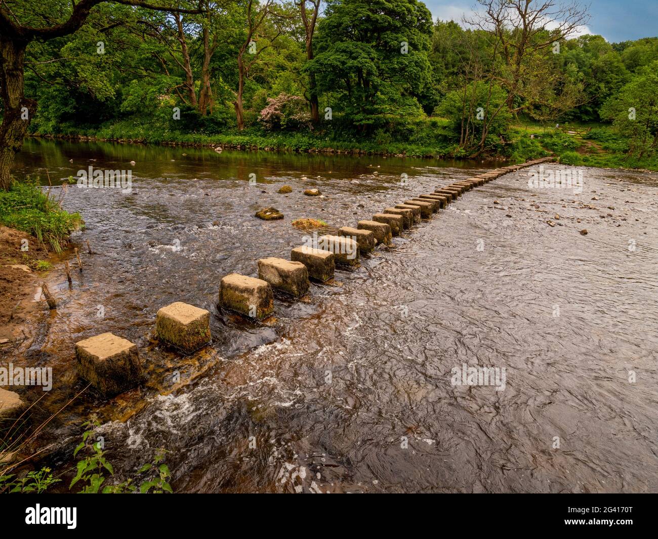 Stepping stones across the River Hodder looking towards the south bank at Whitewell, Forest of Bowland, UK. Stock Photo
