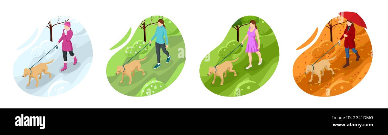 Isometric girl in casual clothes walking in park with golden retriever. Season winter, spring, summer, autumn. Pet care concept. Front view Stock Vector