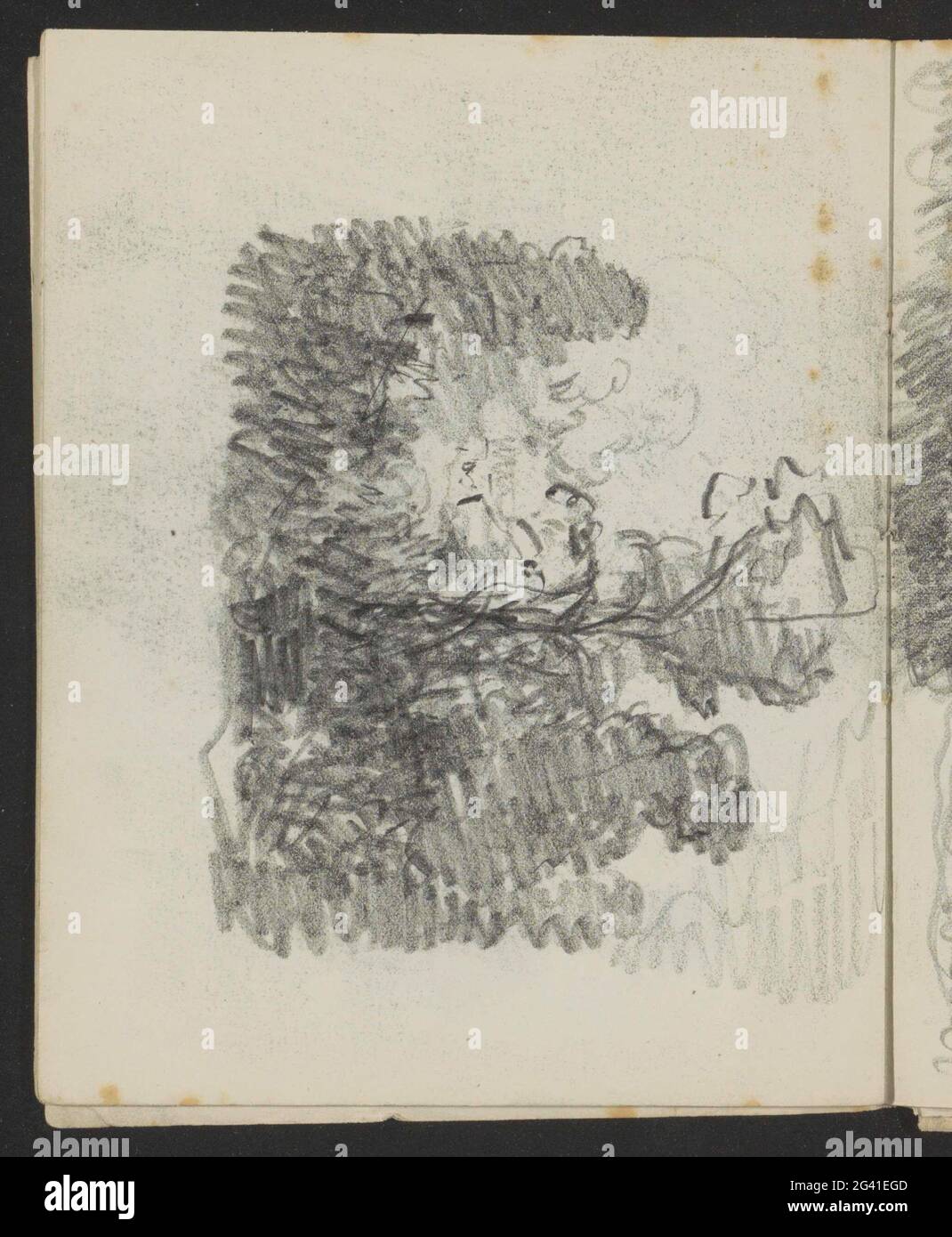 Trees. Leaf 8 Verso from a sketchbook with 17 sheets. Stock Photo