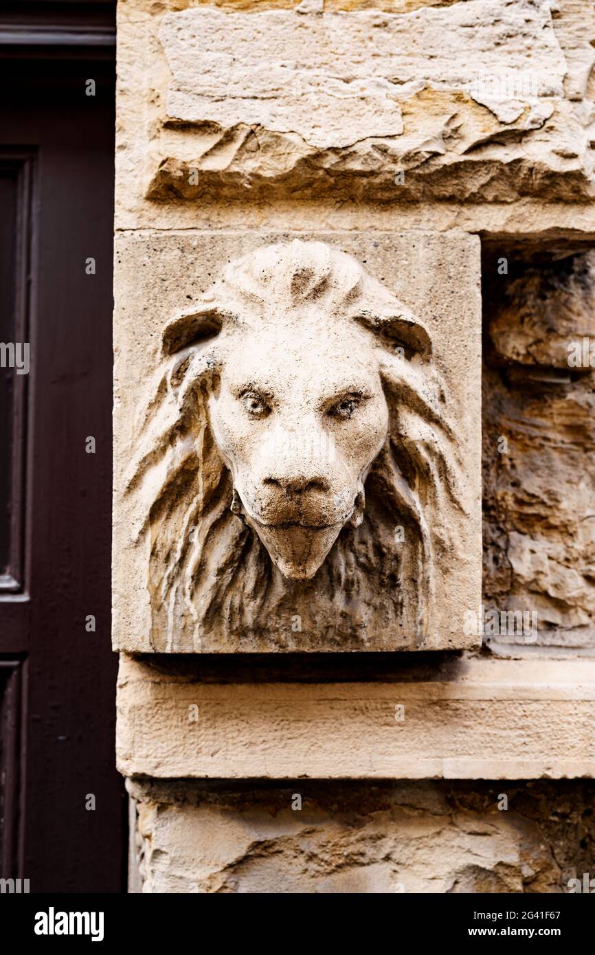 Mascaron of a lion's head in a bas-relief at a brown door. Stock Photo