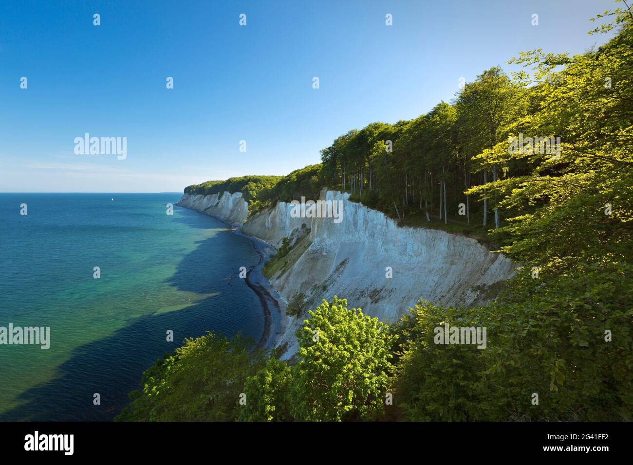 Jasmund National Park, chalk cliffs, chalk coast, Rügen, Baltic Sea ...