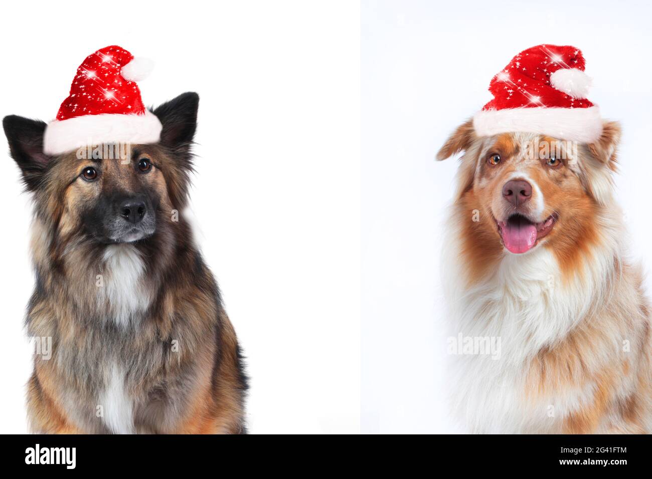 Omn High Resolution Stock Photography And Images Alamy