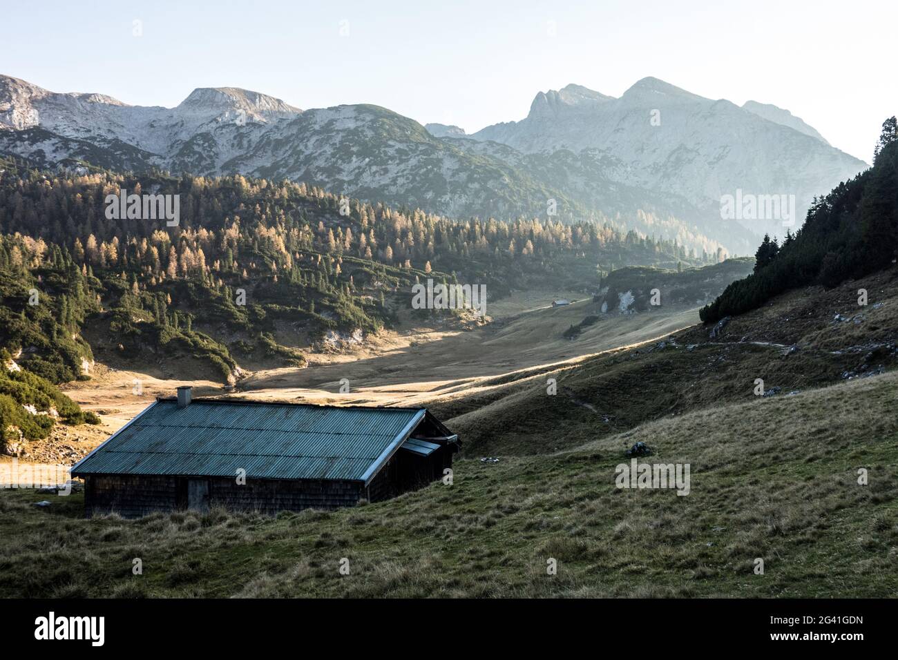 Autumnal view over the Reiteralm to the peaks of the Häuselhörner, Berchtesgaden Alps, Unken, Salzburg, Austria Stock Photo