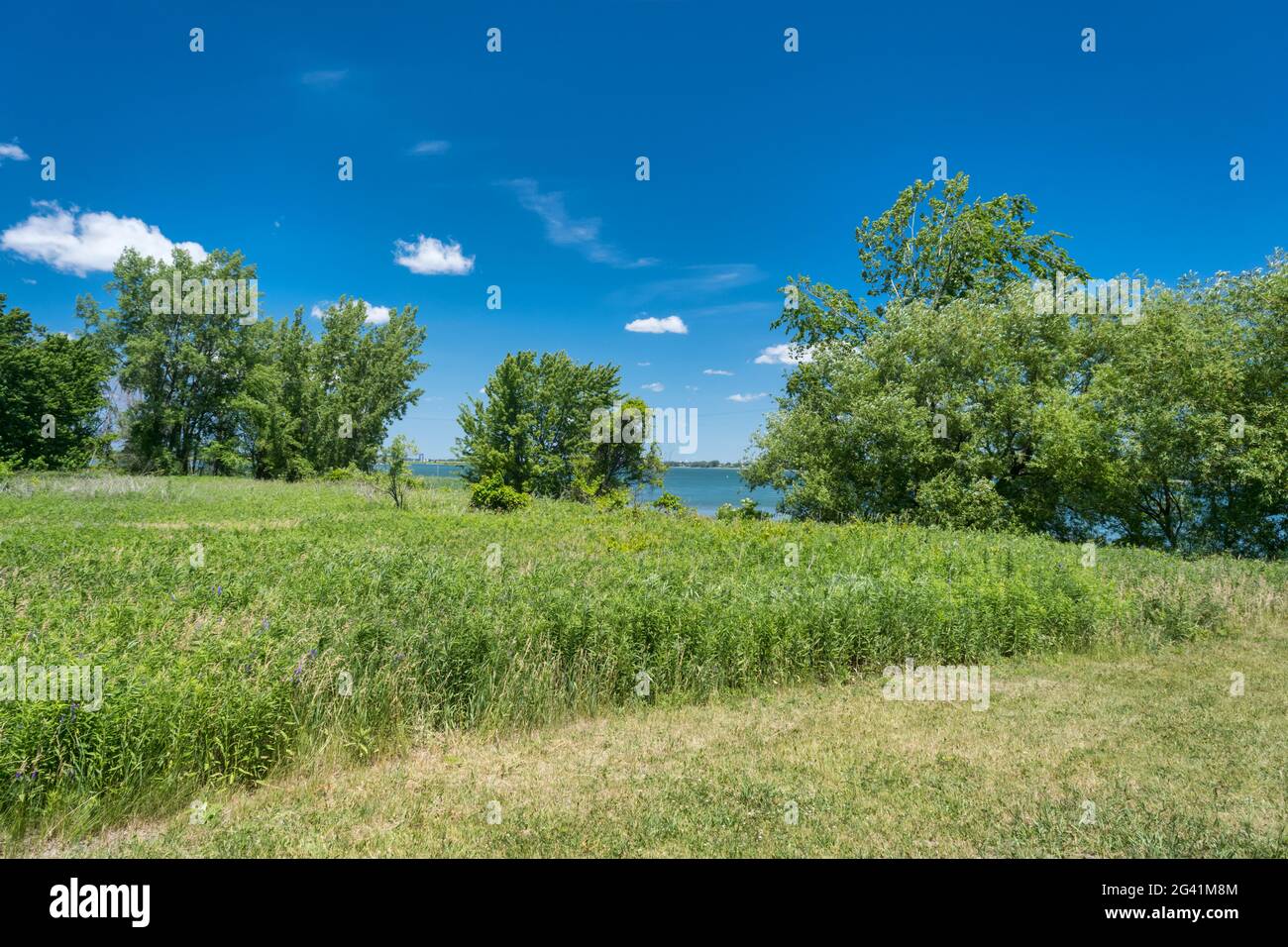 ÎlesdeBoucherville National Park in June 2021, Quebec, Canada Stock