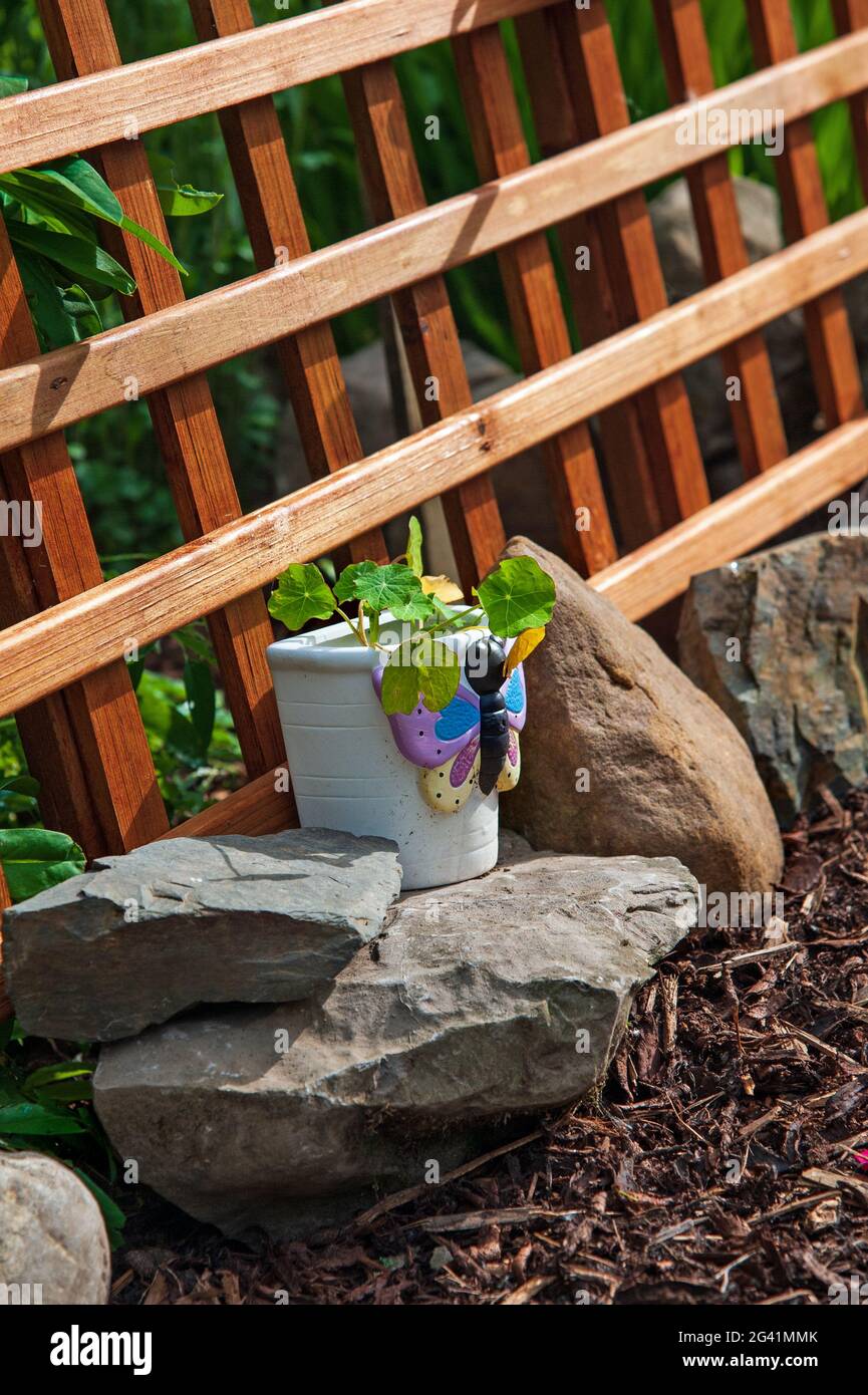 Flower pot and wooden fence in the garden, Stock Photo