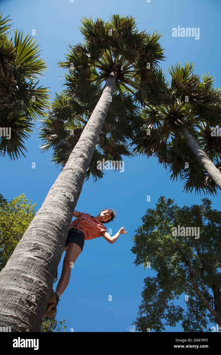 Young woman leans from trunk of a coconut tree and waves, Andong Russei, Kampong Chhnang, Cambodia, Asia Stock Photo