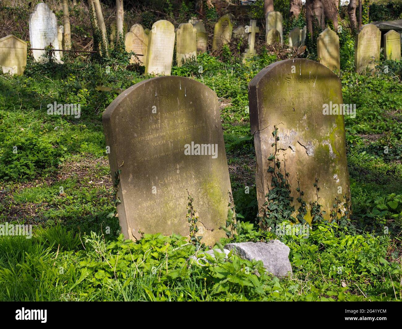 FAVERSHAM, KENT/UK - MARCH 29 : View of St Mary of Charity Church graveyard in Faversham Kent on March 29, 2014 Stock Photo
