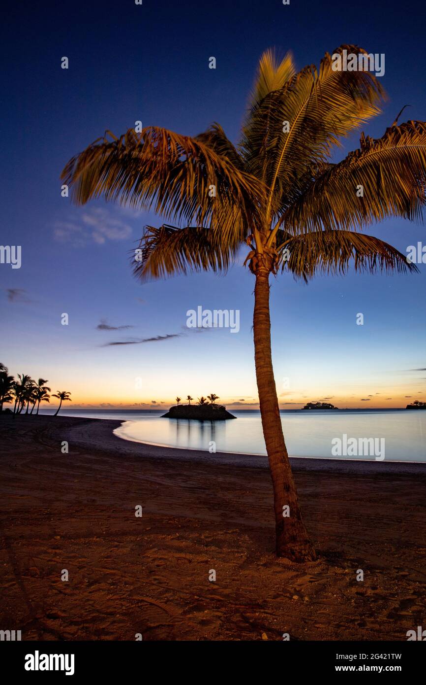 Coconut palm, beach and small barrier island at Six Senses Fiji Resort at dusk, Malolo Island, Mamanuca Group, Fiji Islands, South Pacific Stock Photo