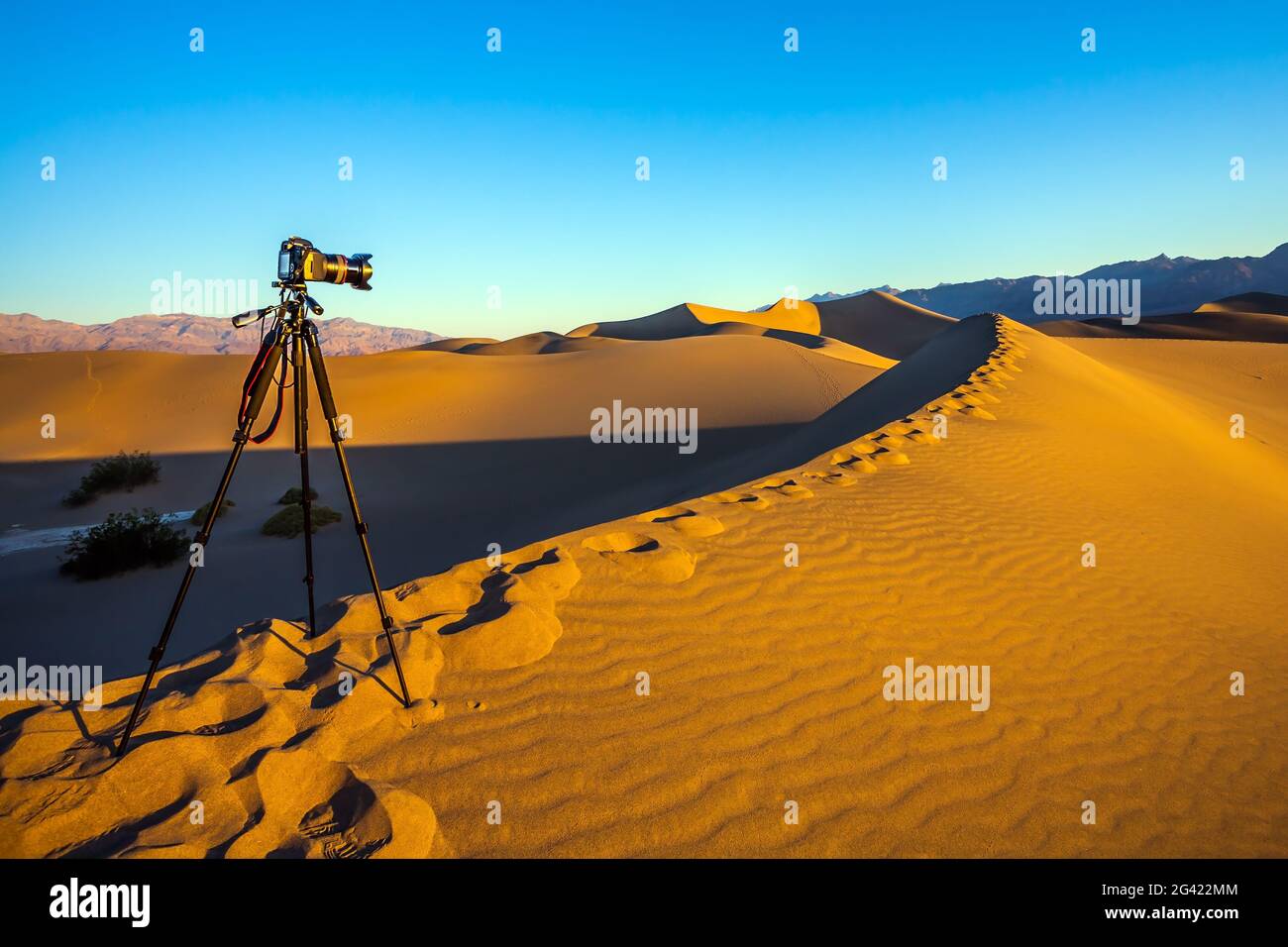 Tripod with a camera Stock Photo - Alamy