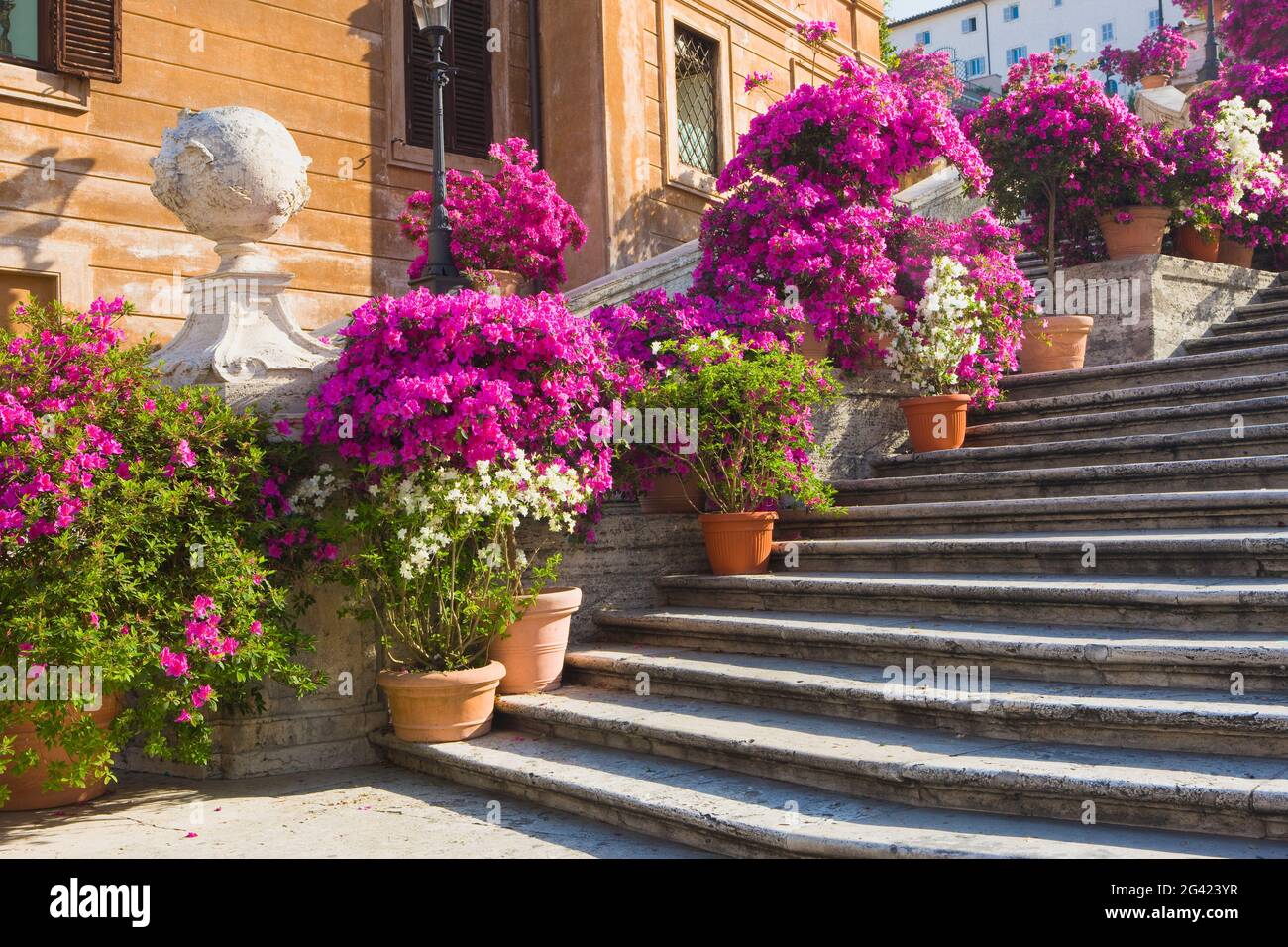 Rome spanish steps flowers hires stock photography and images Alamy