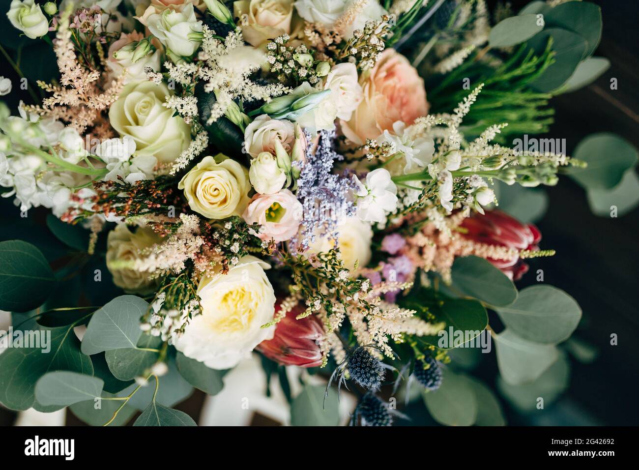 Bridal bouquet of white and cream roses, branches of eucalyptus tree, protea, eryngium and