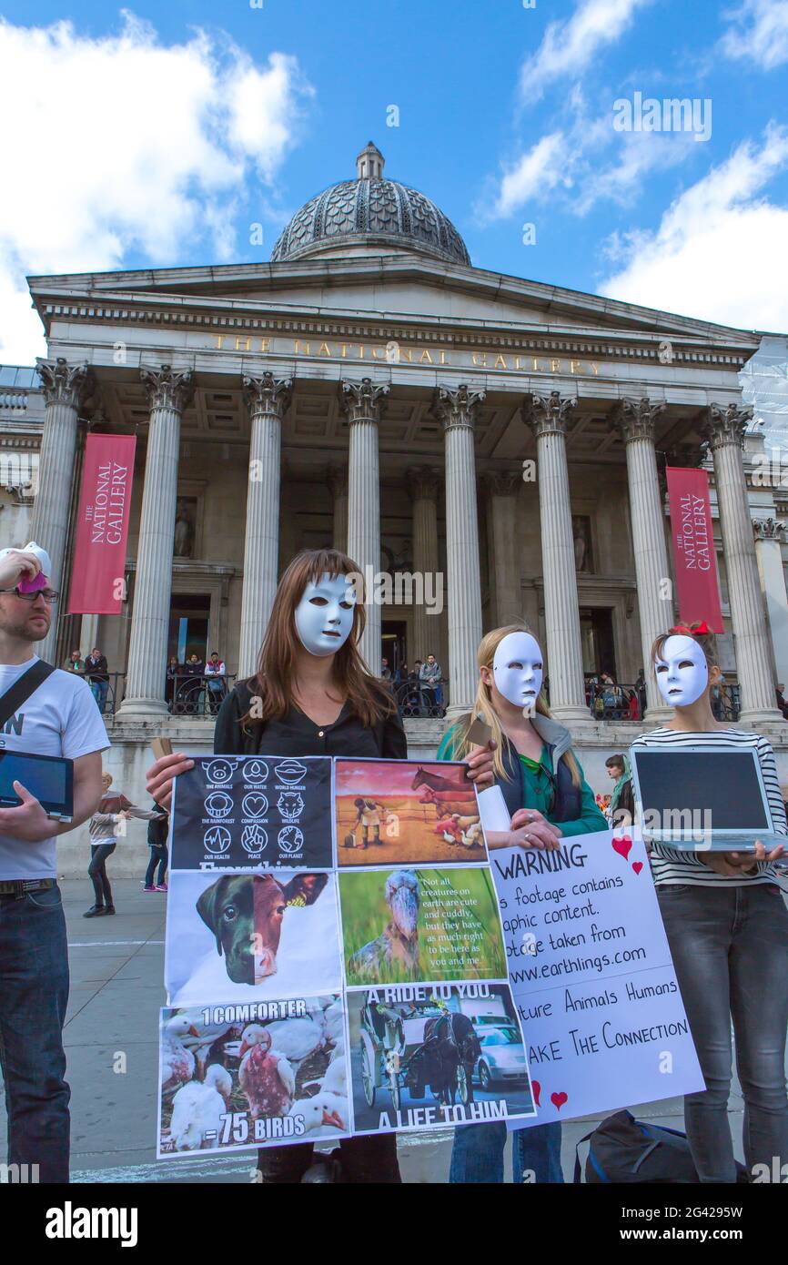 UNITED KINGDOM. ENGLAND. LONDON. NATIONAL GALLERY MUSEUM. PROTECTION OF ANIMALS PROTESTERS Stock Photo