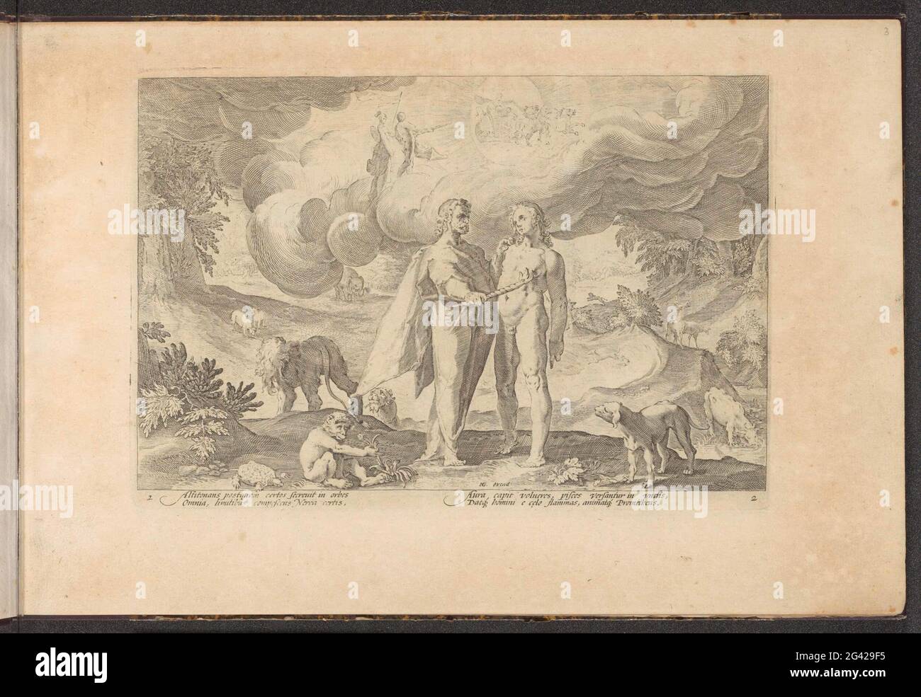 Creation myth turtle hi-res stock photography and images - Alamy