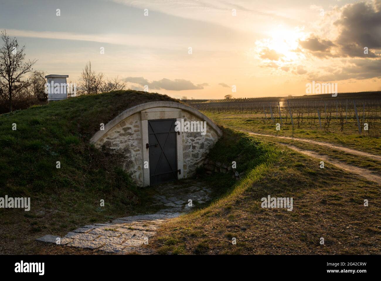 Old vine cellar in Burgenland stuck halfway in the ground at sunset Stock Photo