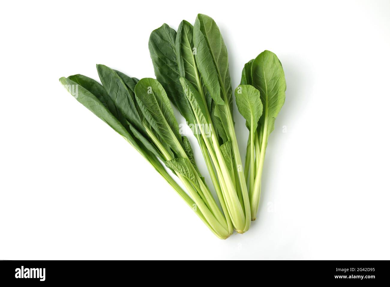 japanese mustard spinach isolated on white background Stock Photo Alamy