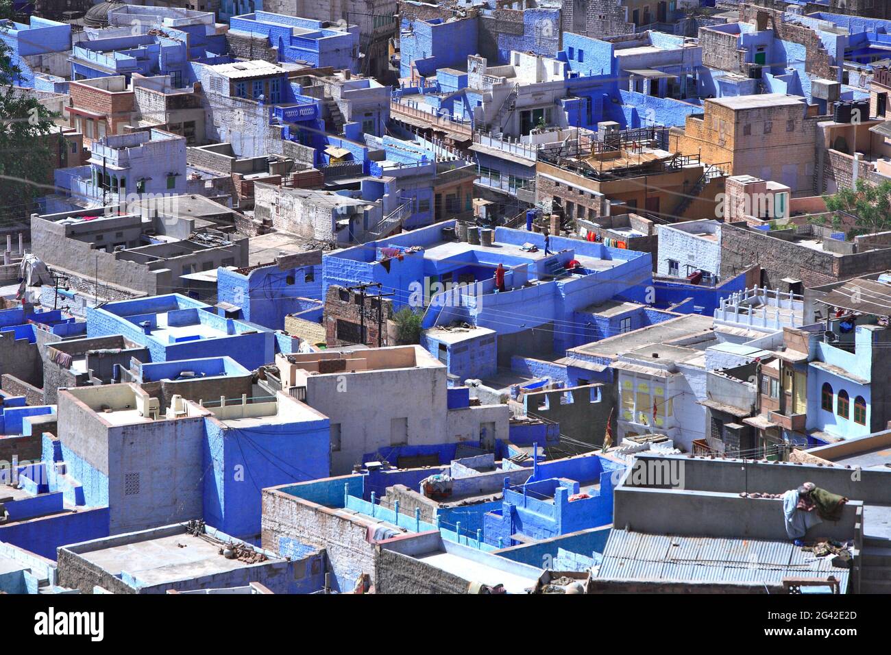 INDIA, RAJASTHAN, JODHPUR (THE BLUE CITY Stock Photo - Alamy