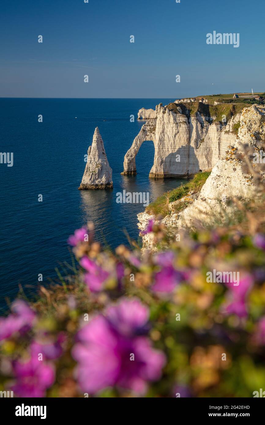 Aval needle hi-res stock photography and images - Alamy