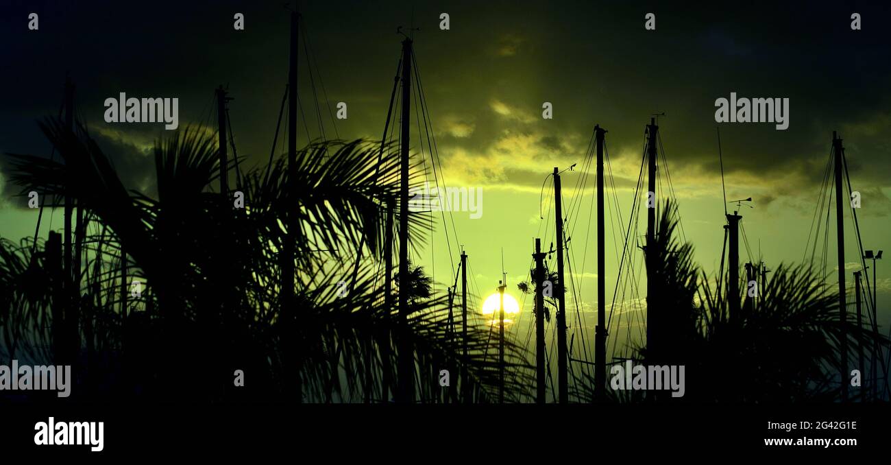 Sunrise from the marina, palm trees and ship masts, with color effects Stock Photo