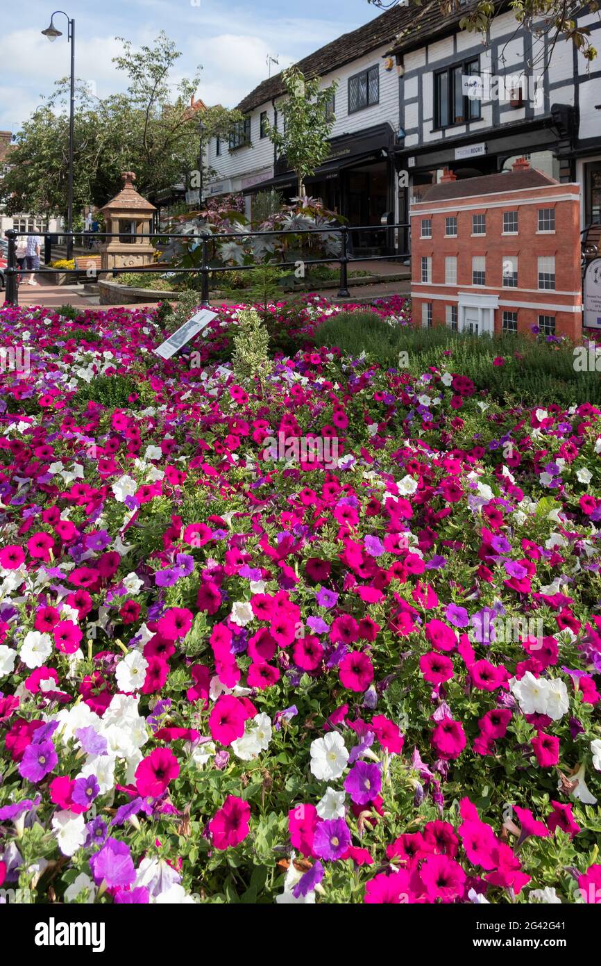 EAST GRINSTEAD, WEST SUSSEX/UK - AUGUST 30 : Flower display in East Grinstead West Sussex on August 30, 2019. two unidentified p Stock Photo