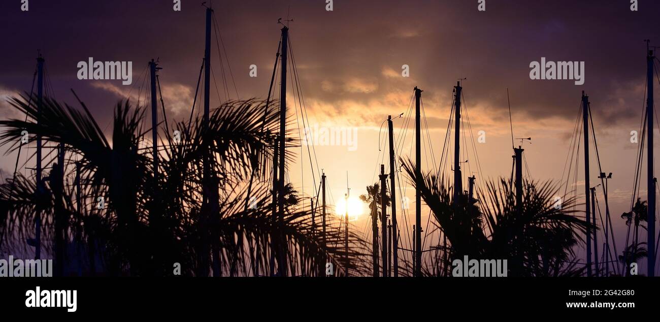 Ship masts and palm trees at sunrise, with color effects, marina of las Palmas de Gran Canaria, Spain Stock Photo