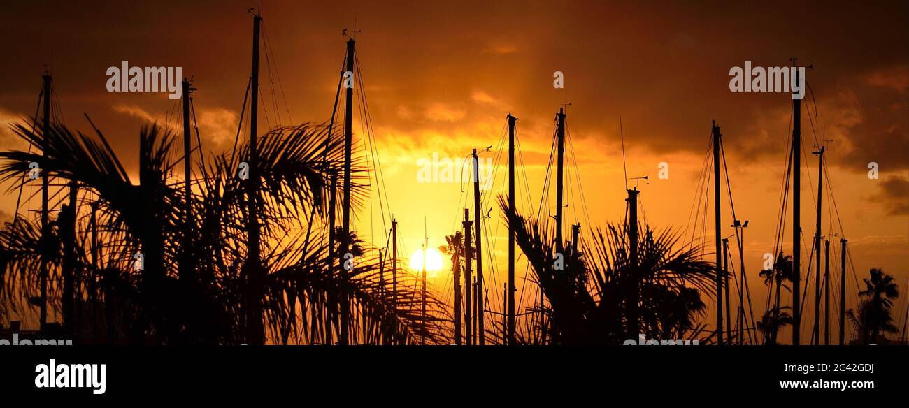 Panoramic from the marina at sunrise with palm trees and ship masts, Las Palmas of Gran Canaria, Spain Stock Photo
