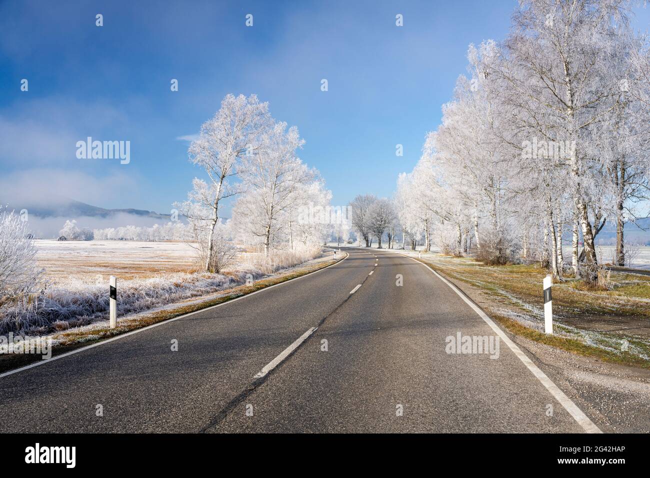 Country road between Schlehdorf and Kochel am See on a frosty morning, Bavaria, Germany. Stock Photo