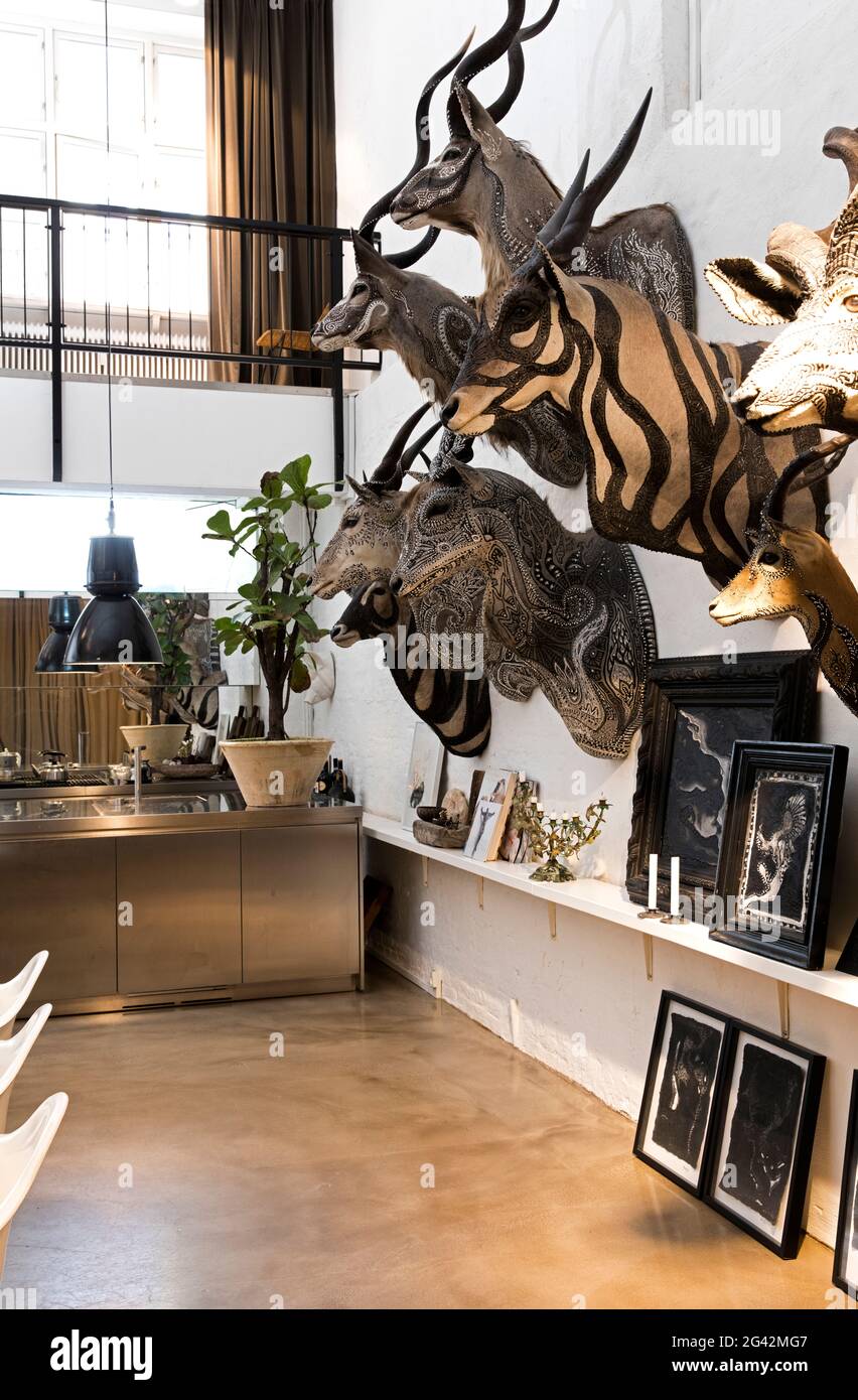 An interior view of an artists home in Copenhagen. Decorated taxidermied animals decorate the walls, along with an exhibit of paintings, by the same a Stock Photo