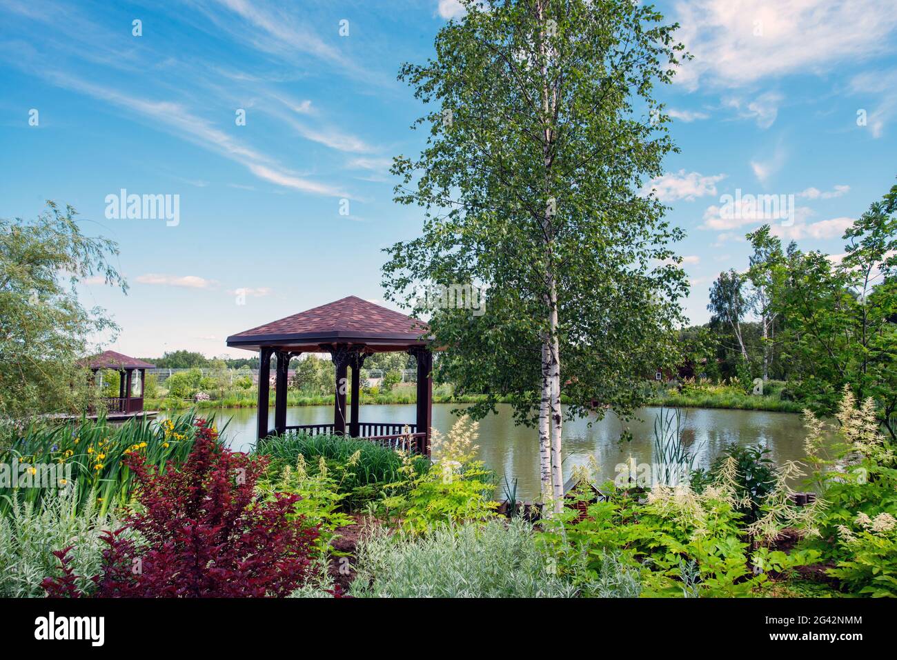 Idyllic landscape ( garden)  of russian birches and  pond e in prosperous dacha near Moscow in moscow oblast. Summertime in Russia:  birch trees  and Stock Photo