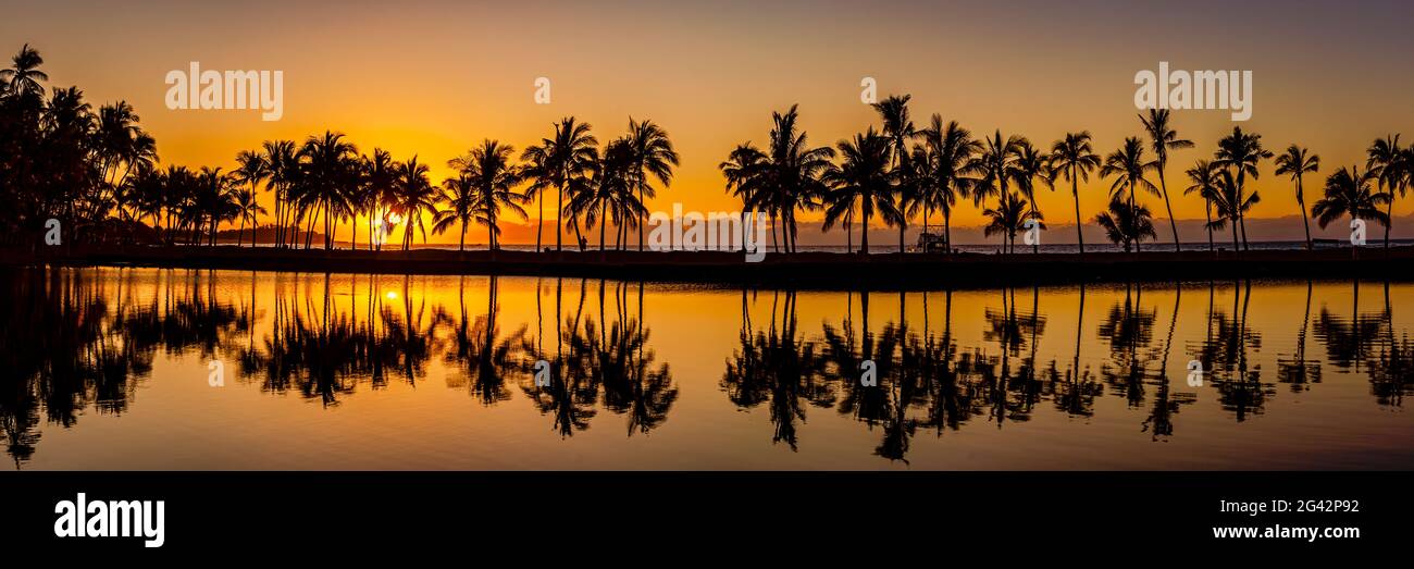 Silhouetted palm trees on beach at sunset, Anaehoomalu Bay, Hawaii Islands, USA Stock Photo