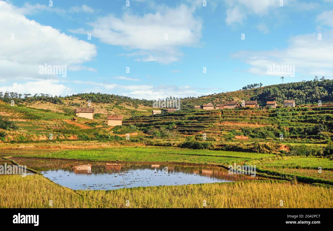 Terraced rice fields, small pond, and clay houses on hill ground - typical landscape in  Alakamisy Ambohimaha region of Madagascar Stock Photo
